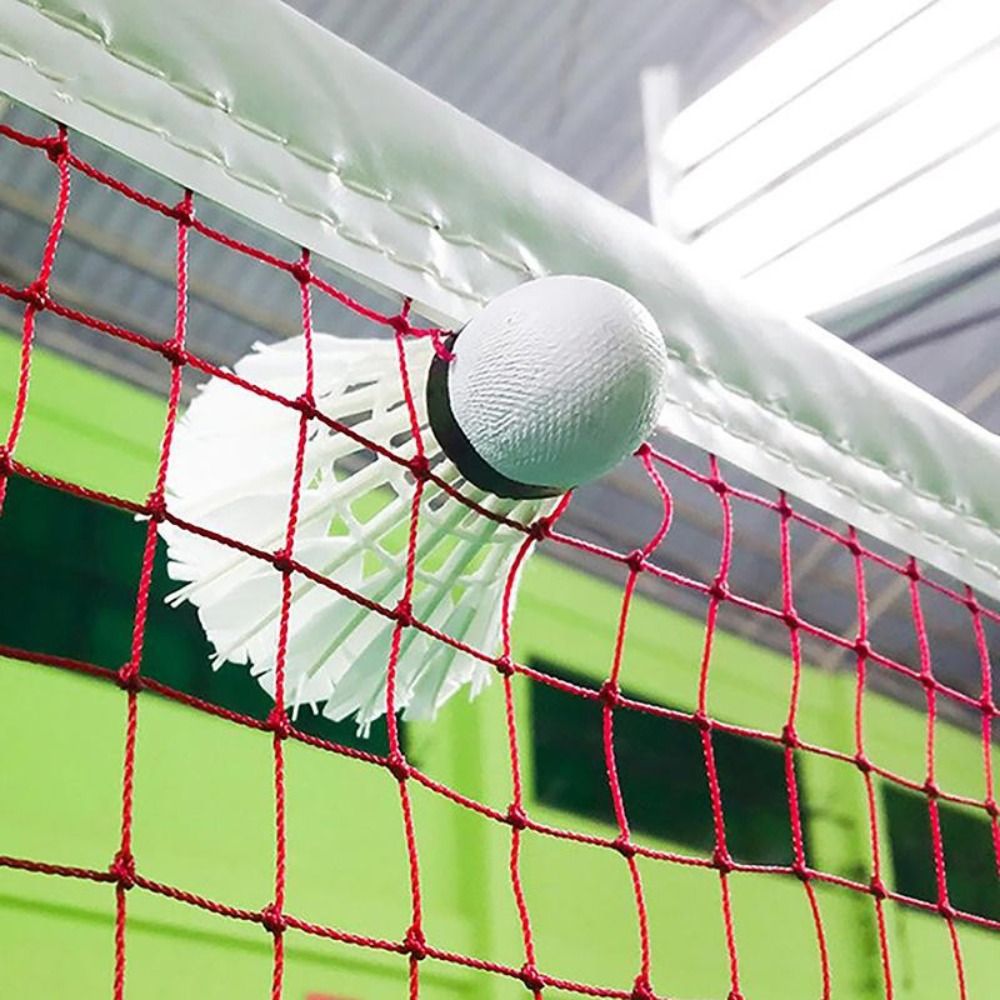 شبكة كرة الريشة القياسية البدي - مراجعة Table Tennis Volleyball وسعره